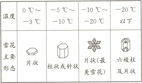 片状柱状或针状形态及片状美雪花