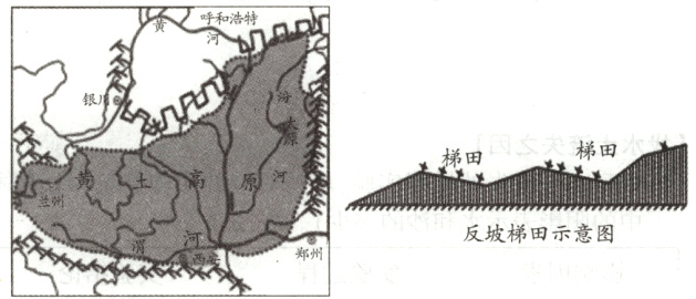 反坡梯田示意图