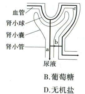 B葡萄糖D无机盐