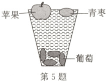 葡萄第5题