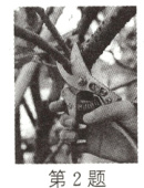 第2题