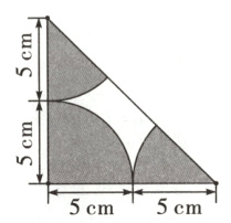 5cm5cm