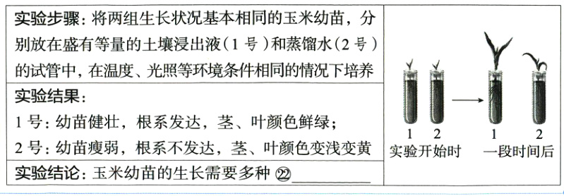 2号幼苗瘦弱根系不发达茎叶颜色变浅变黄实验开始时一段时间后实验结论玉米幼苗的生长需要多种