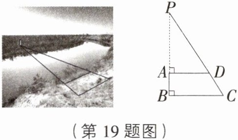(第19题图)