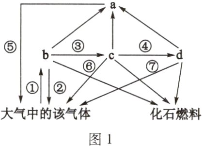 大气中的该气体图1
