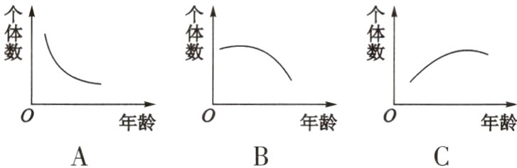 年龄0年龄0年龄