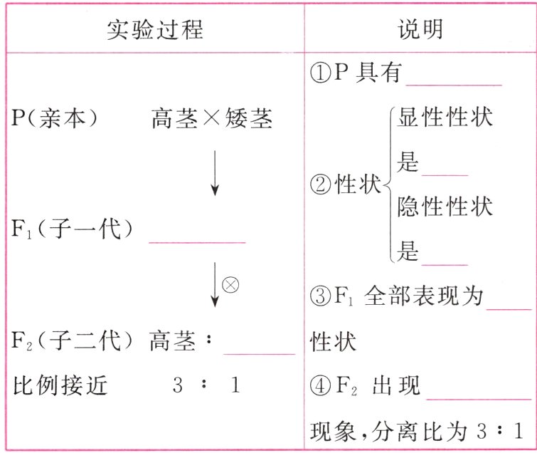 现象 分离比为31