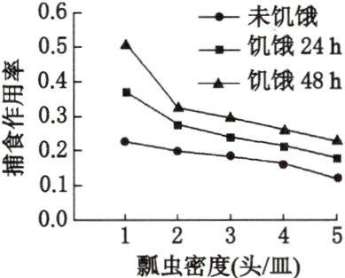 0012345瓢虫密度头皿