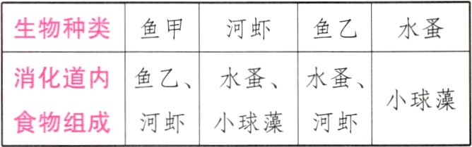 小球藻食物组成河虾小球藻河虾