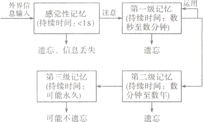 可能不遗忘遗忘