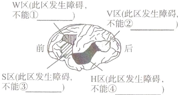 区此区发生障碍H区此区发生障碍不能④