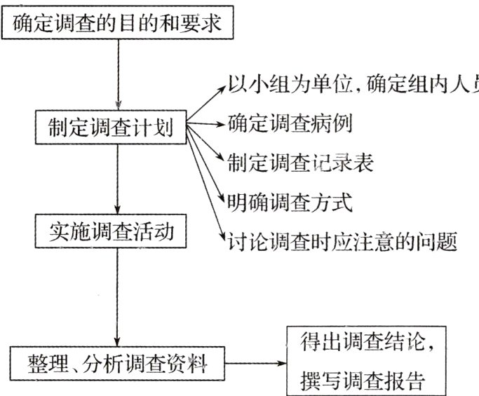 整理分析调查资料撰写调查报告