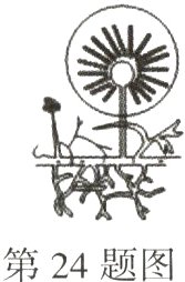 第24题图