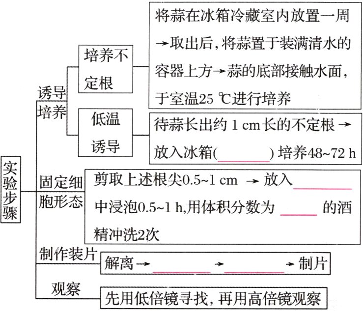 观察先用低倍镜寻找 再用高倍镜观察