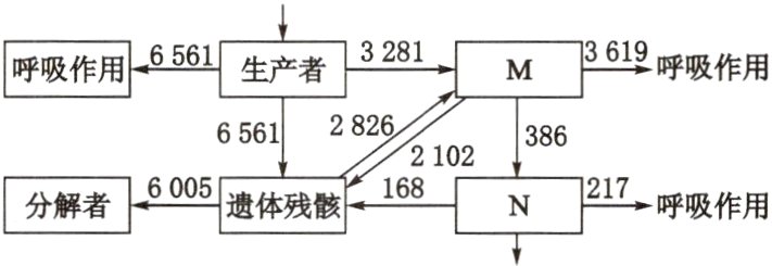 分解者6005遗体残N217呼吸作用