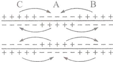 传导的示意图+++++++++++++