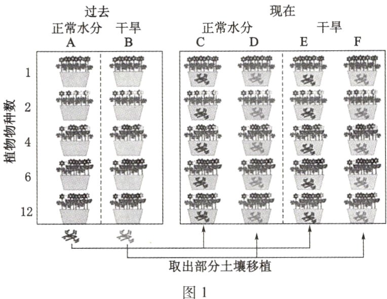 取出部分土壤移植图1