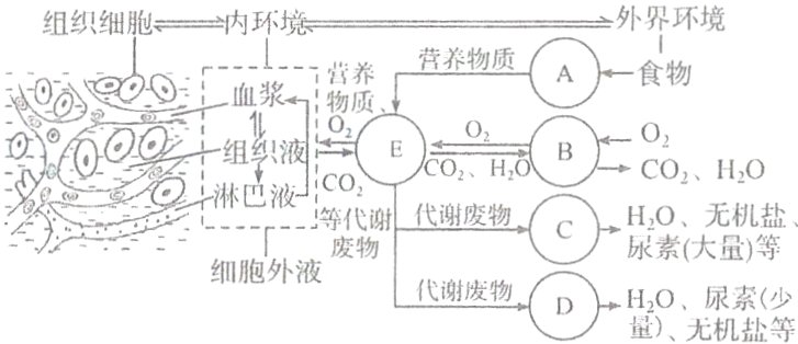 代e谢废物DH尿等