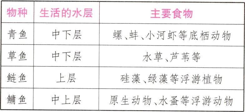 鳞鱼中上层原生动物水蚤等浮游动物