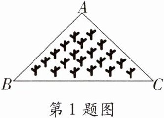 第1题图