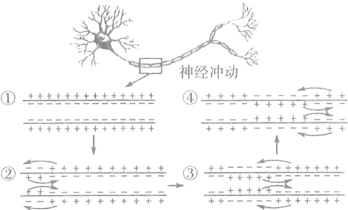 ++−−−−+++++++++++++++++