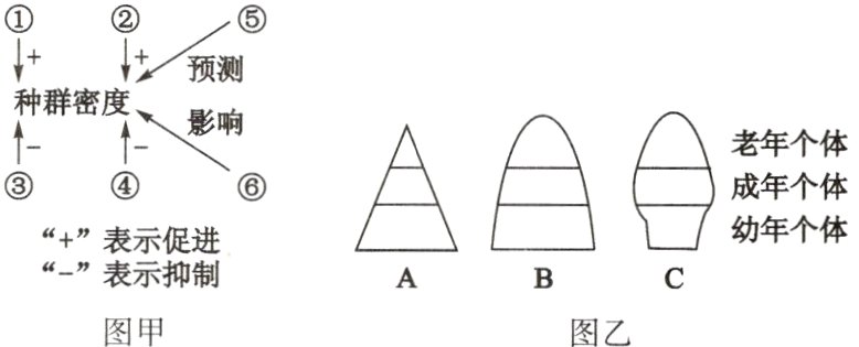 表示抑制图甲图乙