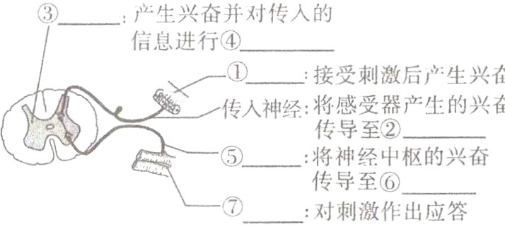 对刺激作出应答
