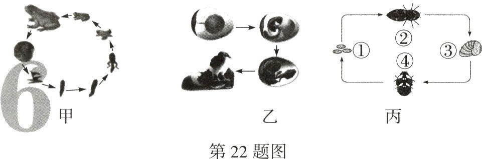 第22题图