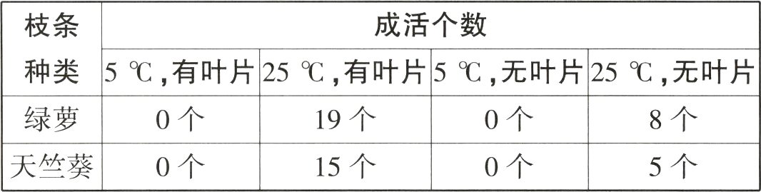 天竺葵0个15个0个5个