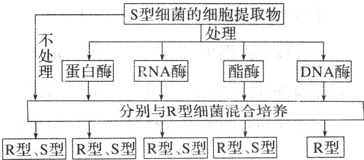 R型S型R型S型R型S型R型S型R型