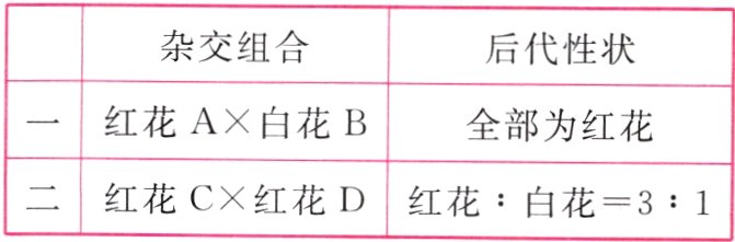 二红花CX红花D红花白花31