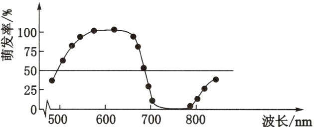 500600700800波长nm