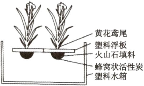 蜂窝状活性炭塑料水箱