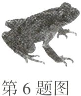 第6题图