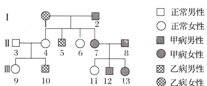 愍乙病男性IIIO啜乙病女性10111213