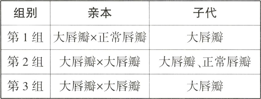 第3组大唇瓣大唇瓣大唇瓣