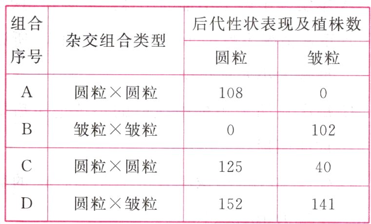 圆粒×皱粒152141