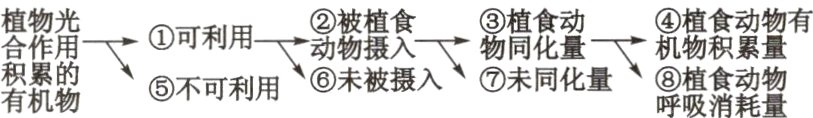 可利鬟被被物同化量积累的A有机物