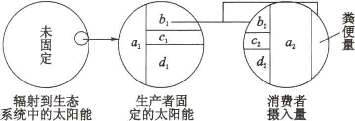 定生的产太阳能系到失能