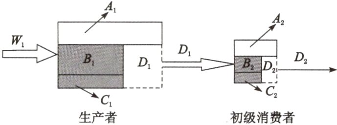 生产者初级消费者