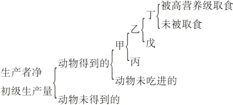 初级生产量动物未得到的