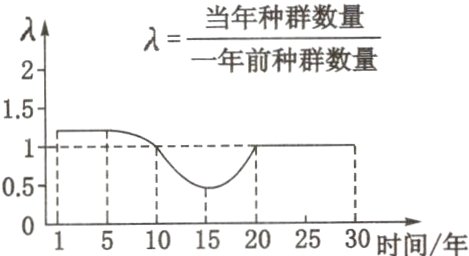 30时间年o1510152025