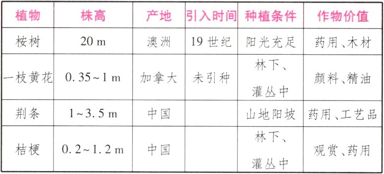 桔梗0212m观赏药用灌丛中