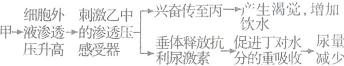 甲→液渗透→的渗透压尿量垂体释放抗促进丁对水利尿激素分的重吸收减少