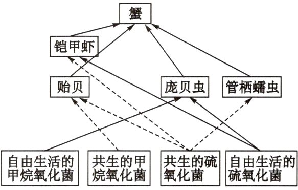 自由生活的共生的硫自由生活的甲烷氧化菌氧化菌硫氧化菌