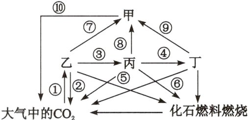 化石燃料燃烧大气中的CO
