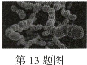 第13题图
