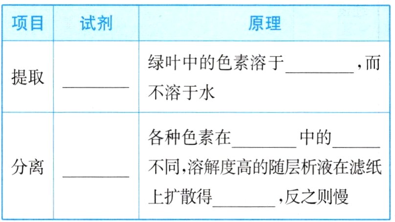 上扩散得反之则慢