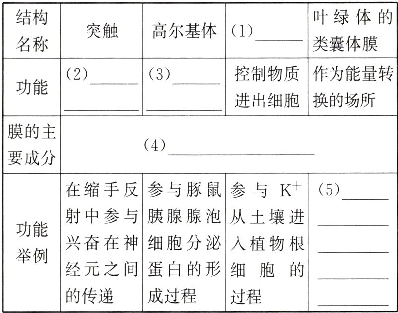 成过程的传递过程