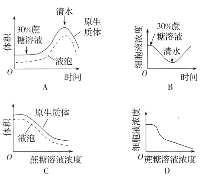 蔗糖溶液浓度0蔗糖溶液浓度